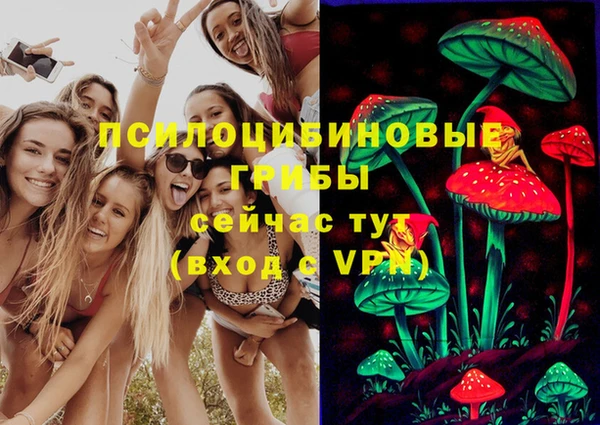 трава Балахна