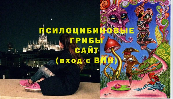 spice Баксан